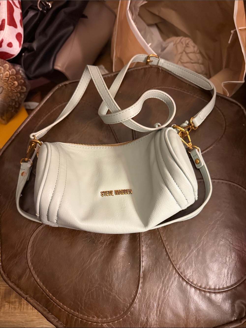 Steve Madden Pale Mint Leather Crossbody Bag with Gold Hardware